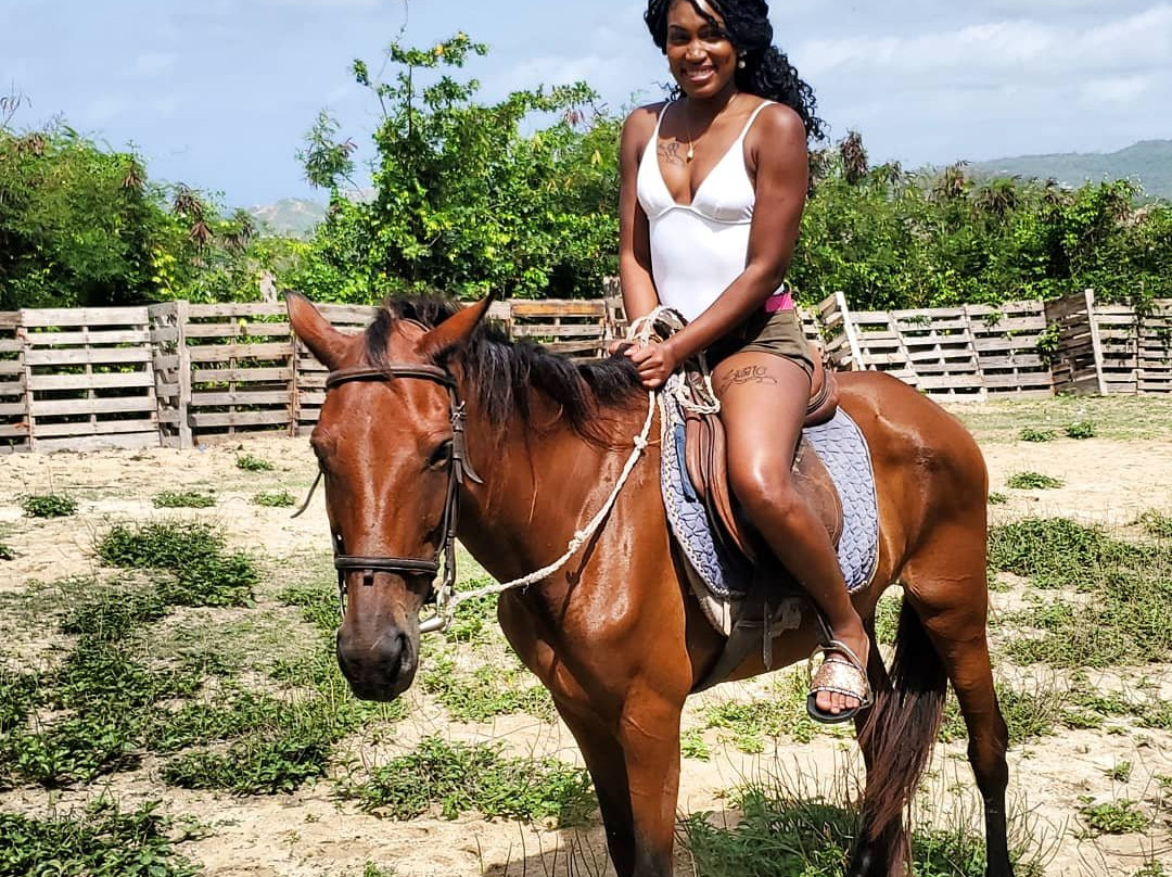 Jah Works Riding Stables-布里奇顿必去景点