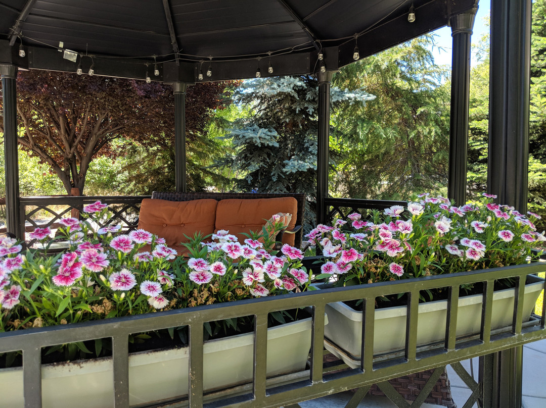 Prescott Pines Inn主图