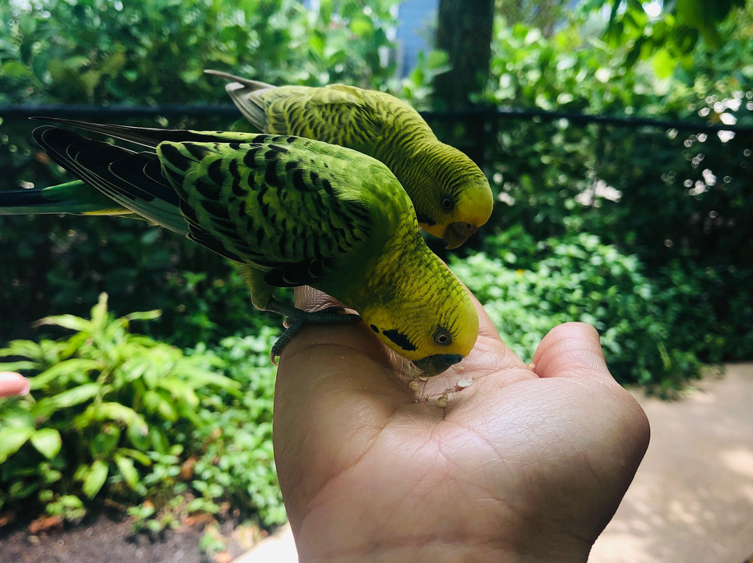 巴哈马君悦度假村主图