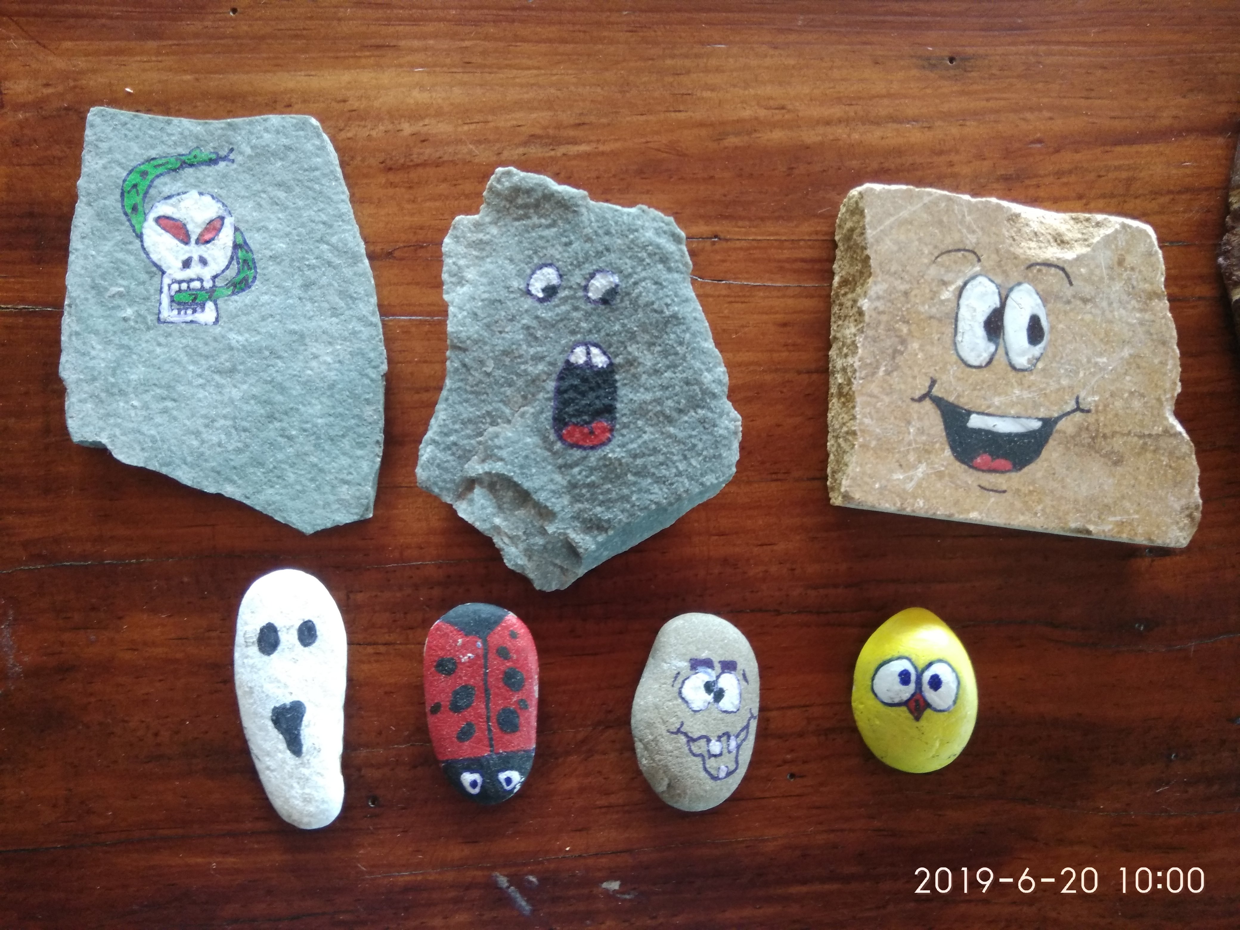 Seegreen Lodges-餐饮