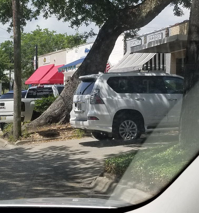 Coastal Magpie-Ocean Springs必去景点