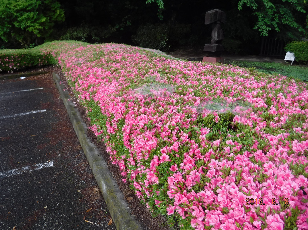 Suginami Park Gallery-日光市必去景点