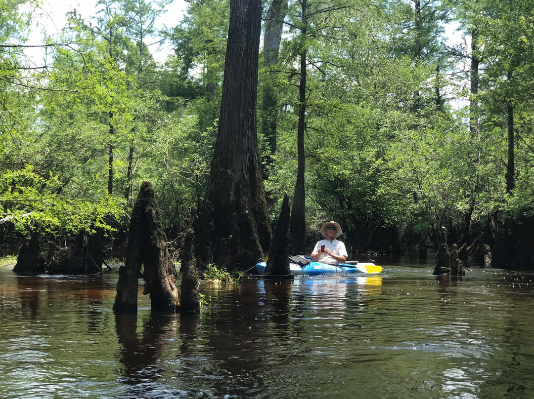 Captain Charles Robbins' Cape Fear River Adventures景点图片