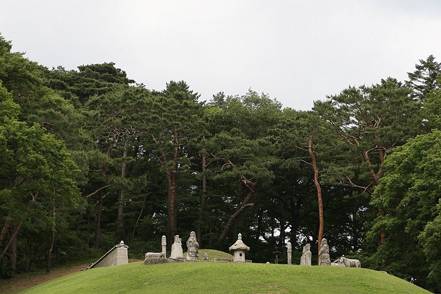 Gwangneung Royal Tombs-南杨州市必去景点