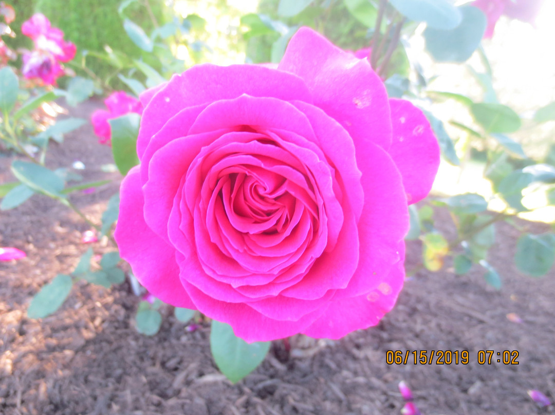 Walnut Hill Park-New Britain必去景点