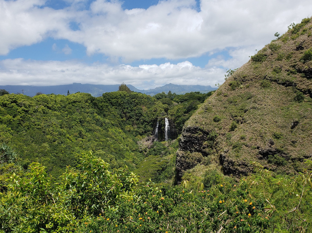 Wailua Heritage Trail-Wailua必去景点