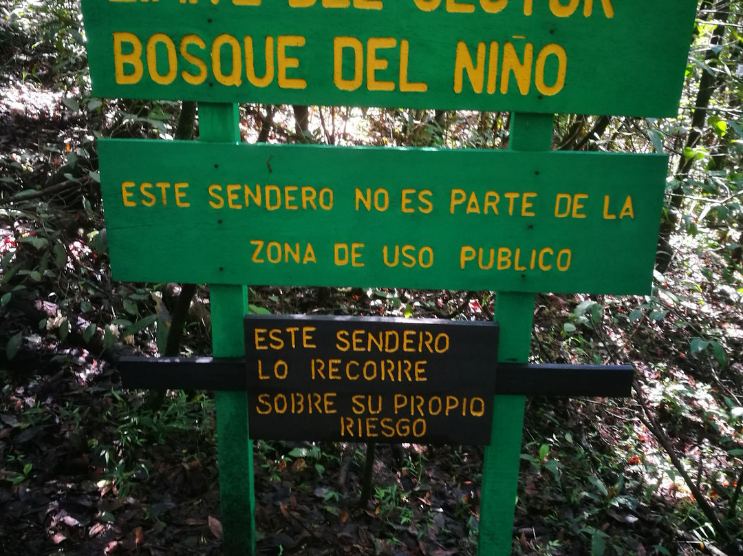 Reserva Forestal Grecia Sector Bosque del Nino景点图片