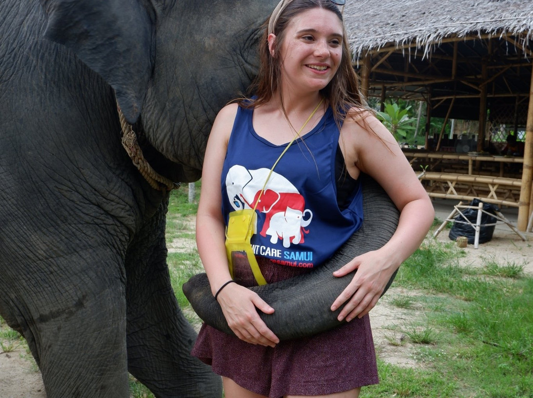 Elephant Care Samui-马叻必去景点