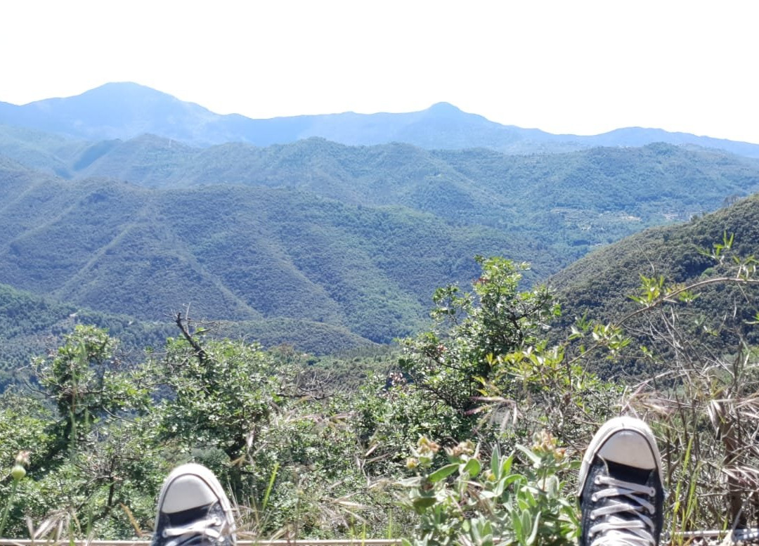 Agriturismo Al Pagan主图