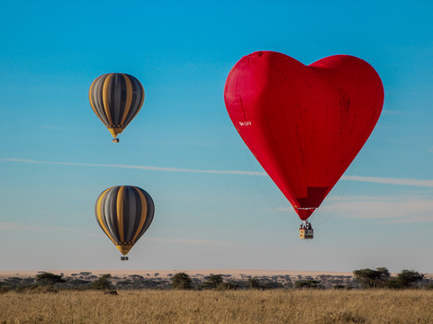 Miracle Experience Balloon Safaris-塞伦盖蒂国家公园必去景点