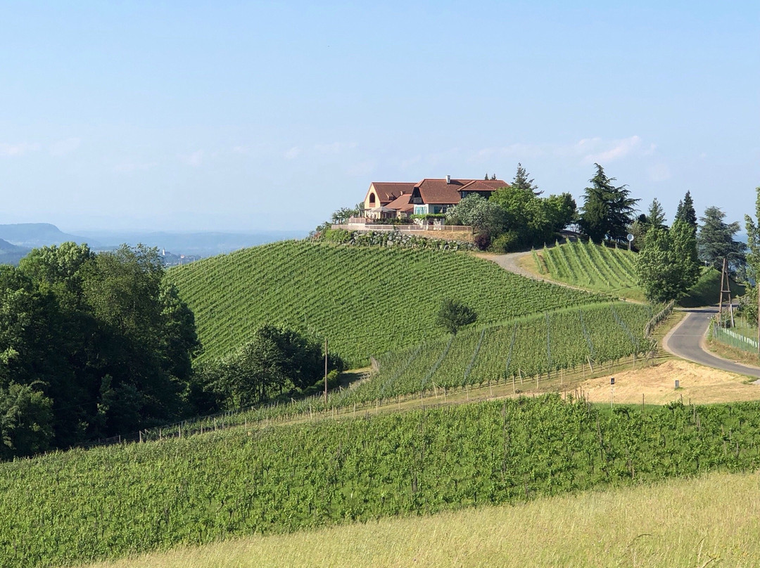 Kilgers Jaglhof主图