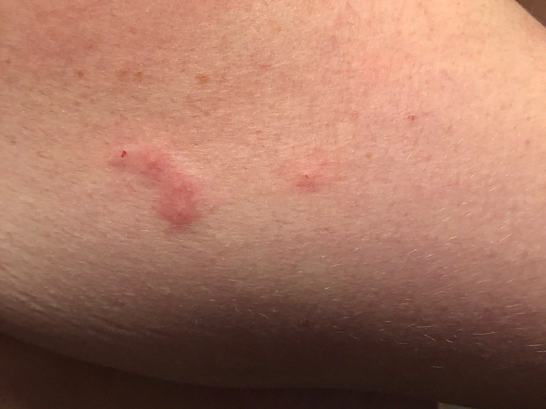 Holiday Inn Express Kernersville by IHG主图