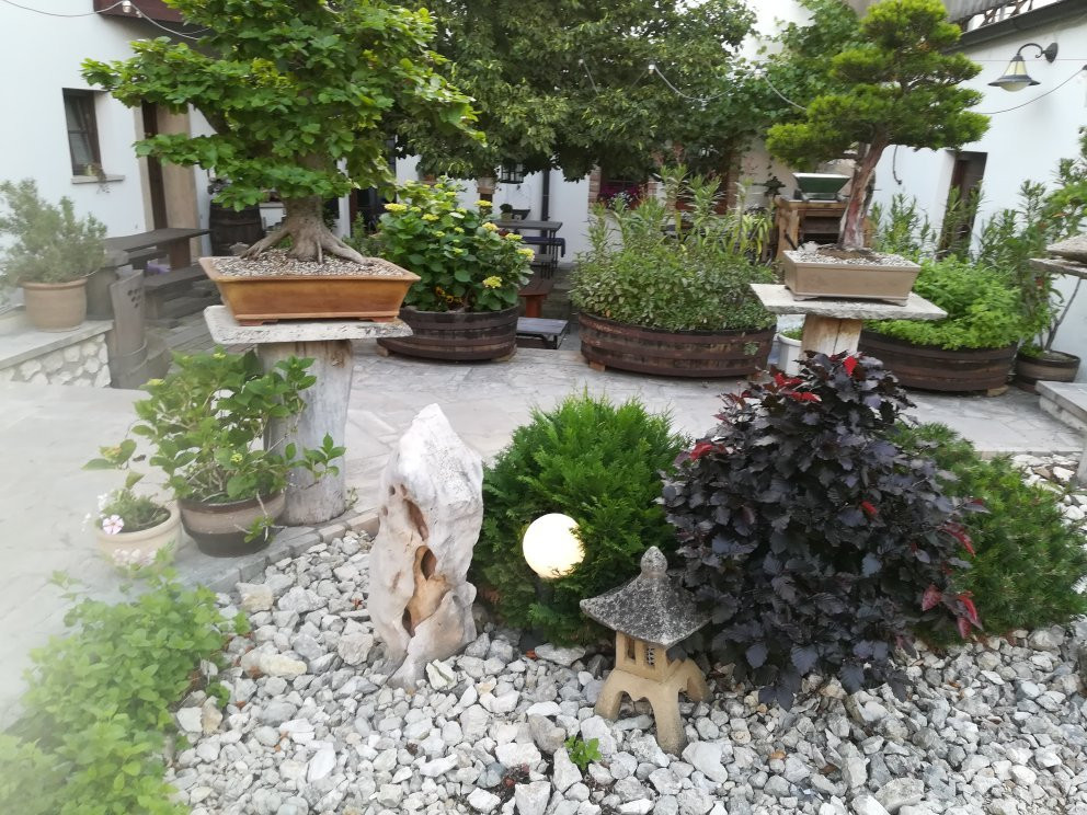 Hotel Bonsai Mikulov主图
