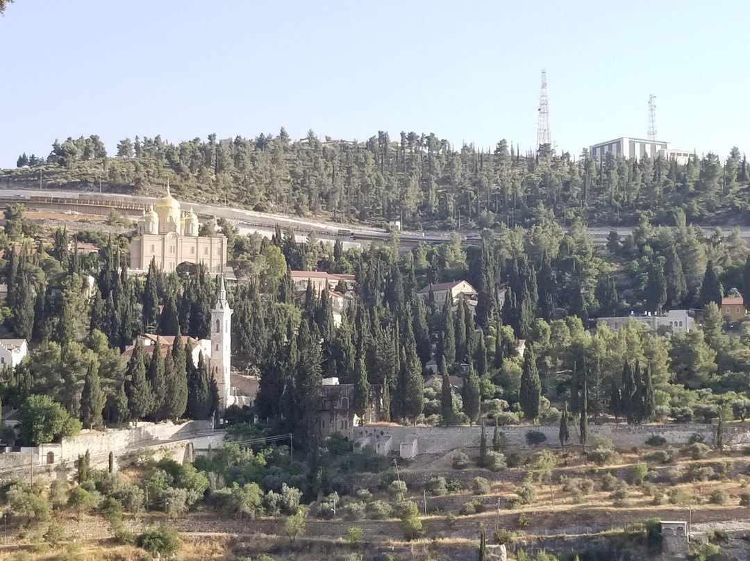 Notre Dame de Sion主图