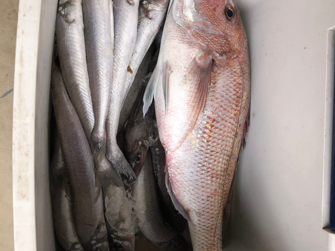 Port Hughes Fishing Charters-Port Hughes必去景点