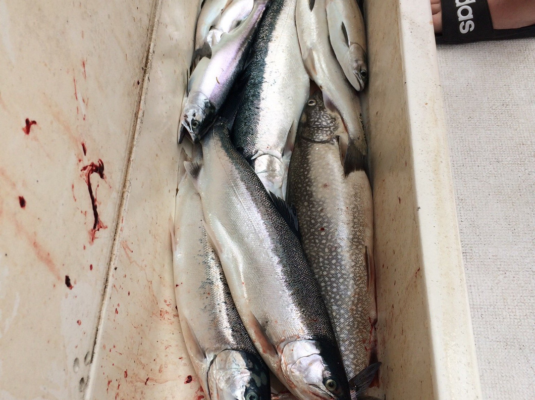 Manitoulin Sport Fishing Charters景点图片