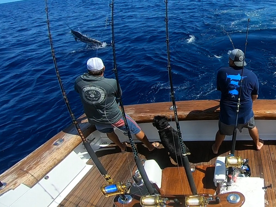 Carolina Gentleman Sportfishing景点图片