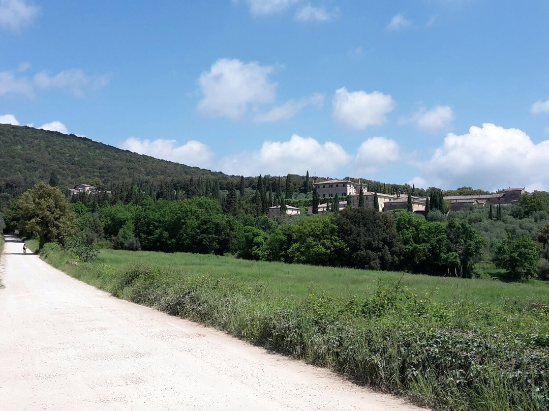 Palazzo a Merse B&B主图