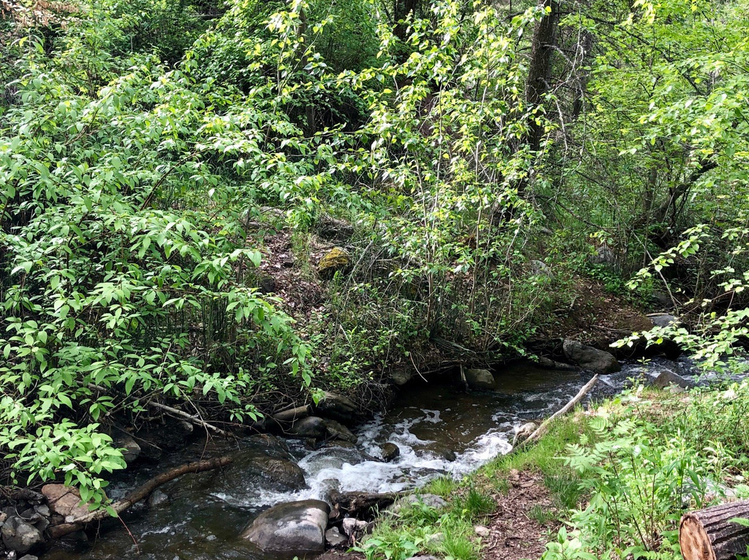 Peterson Creek Park-坎卢普斯必去景点