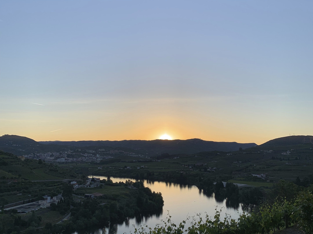Delfim Douro Hotel主图