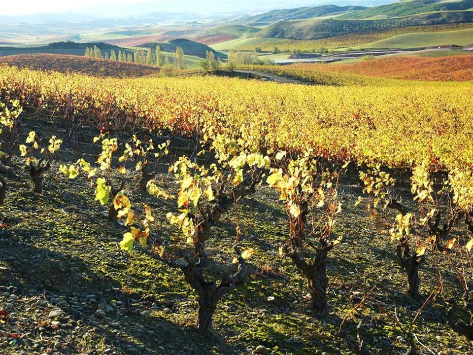 Nekeas-Anorbe必去景点