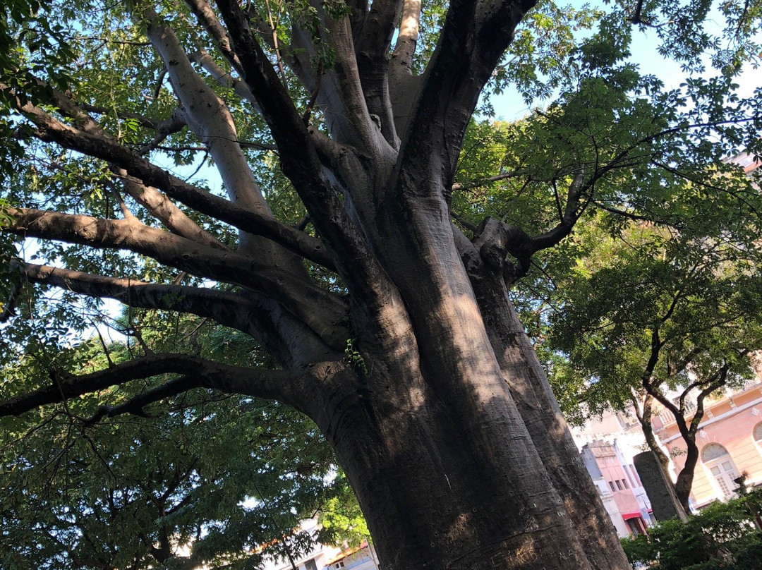 Passeio Público-福塔莱萨必去景点