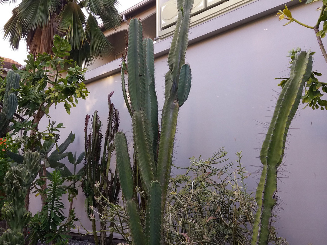 拉帕伊贺酒店主图