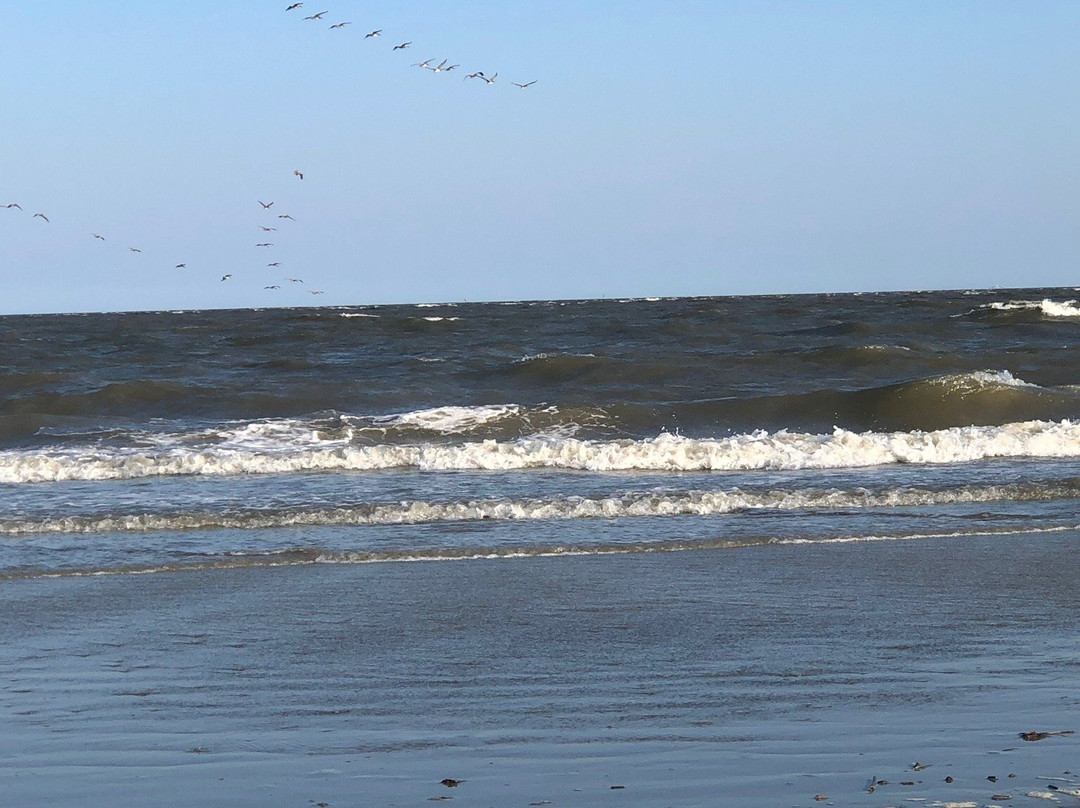 Massengale Park-圣西蒙斯岛必去景点