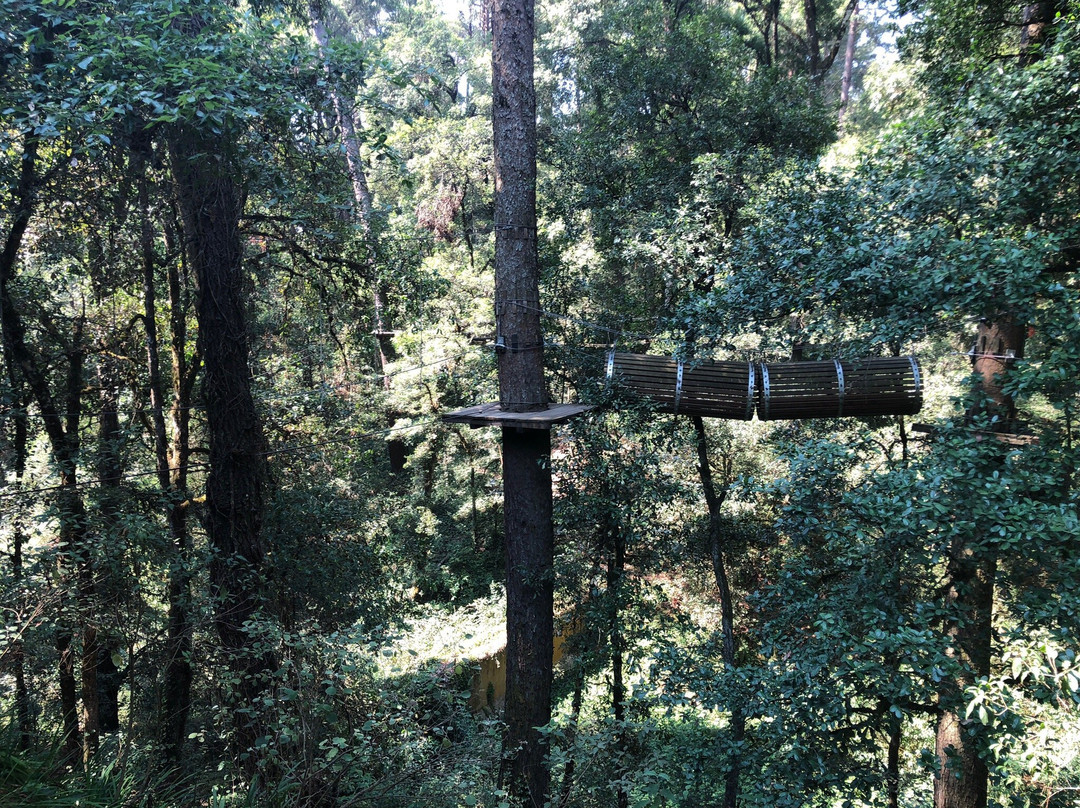 Zacatlan Adventure-Zacatlan必去景点