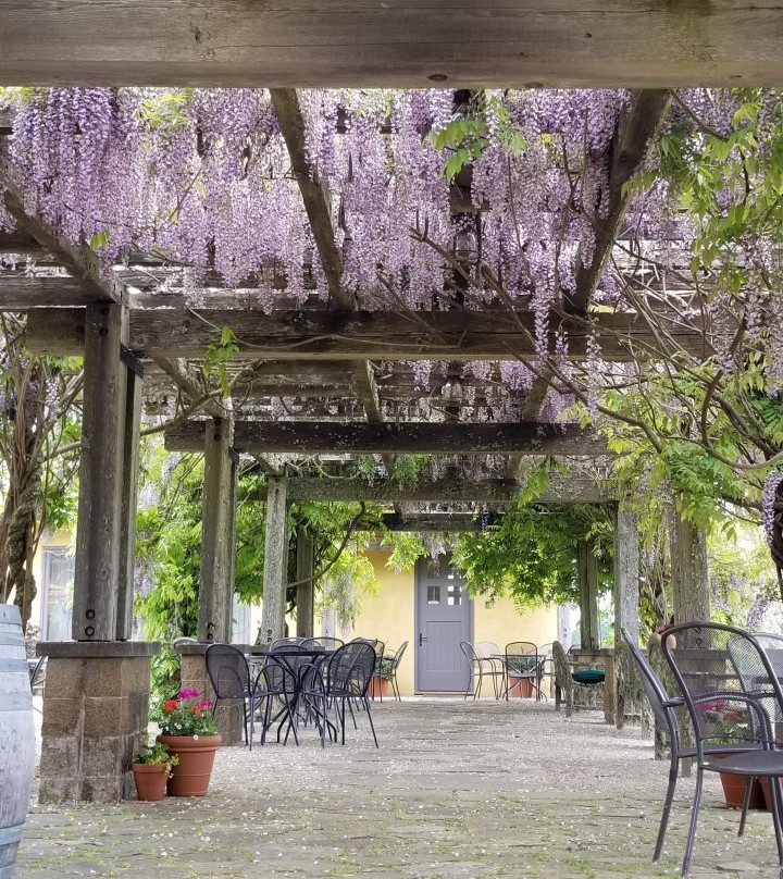 Iris Vineyards Wine Bar-斯普林菲尔德必去景点