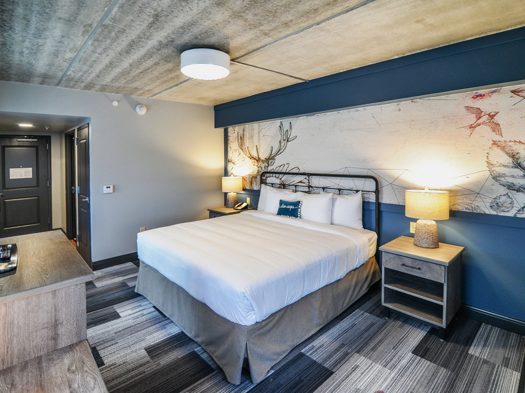 The Stella Hotel & Ballroom主图