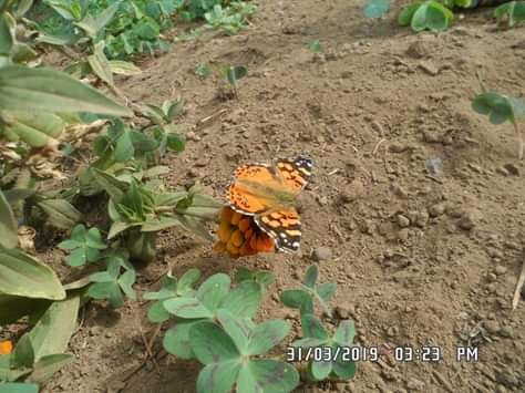 Estadio German Becker-特木科必去景点