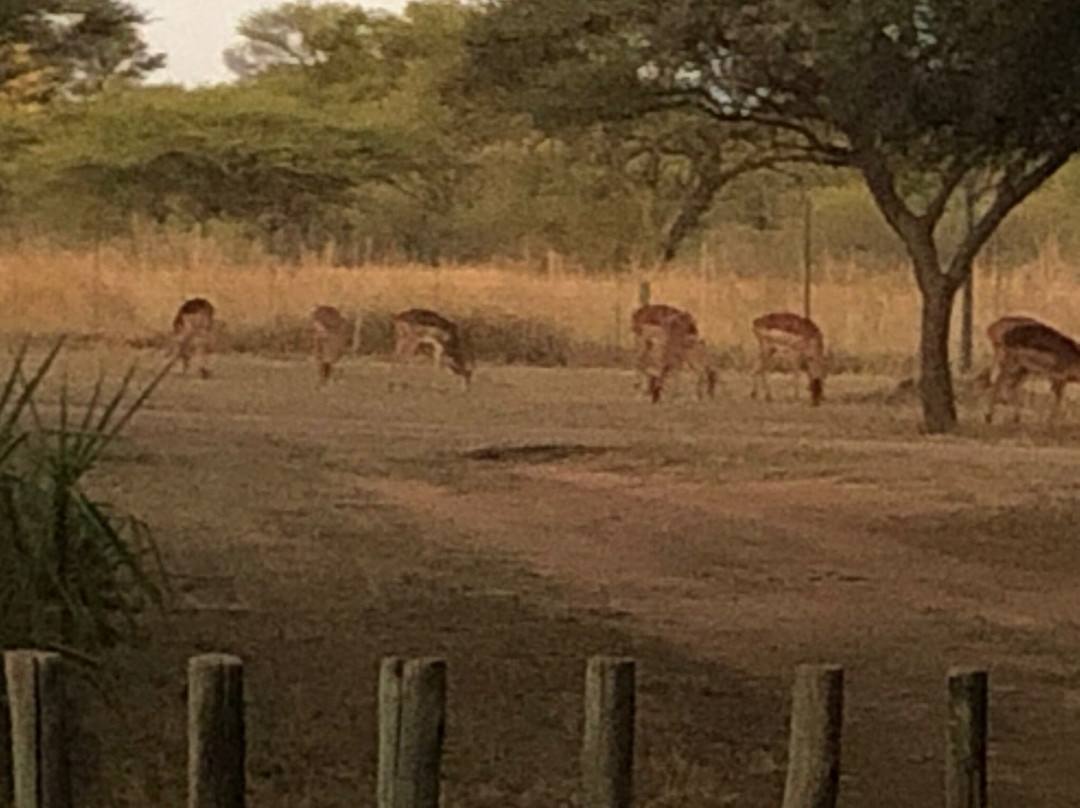 Ithabiseng Guest Farm主图