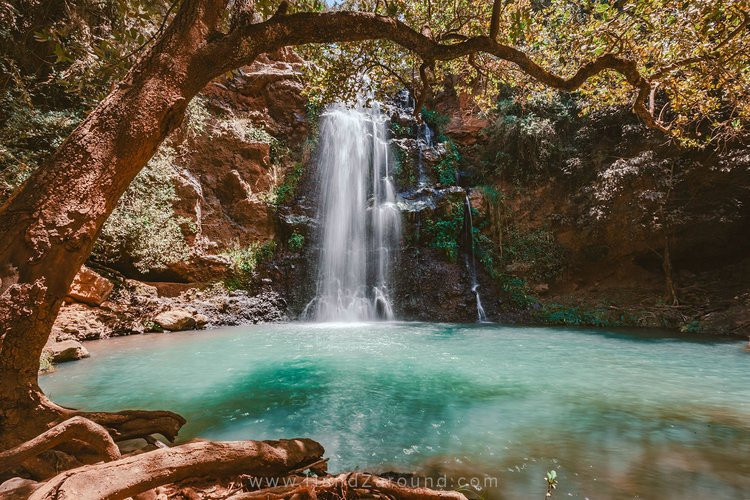 Ngare Ndare Forest Reserve-Meru Town必去景点