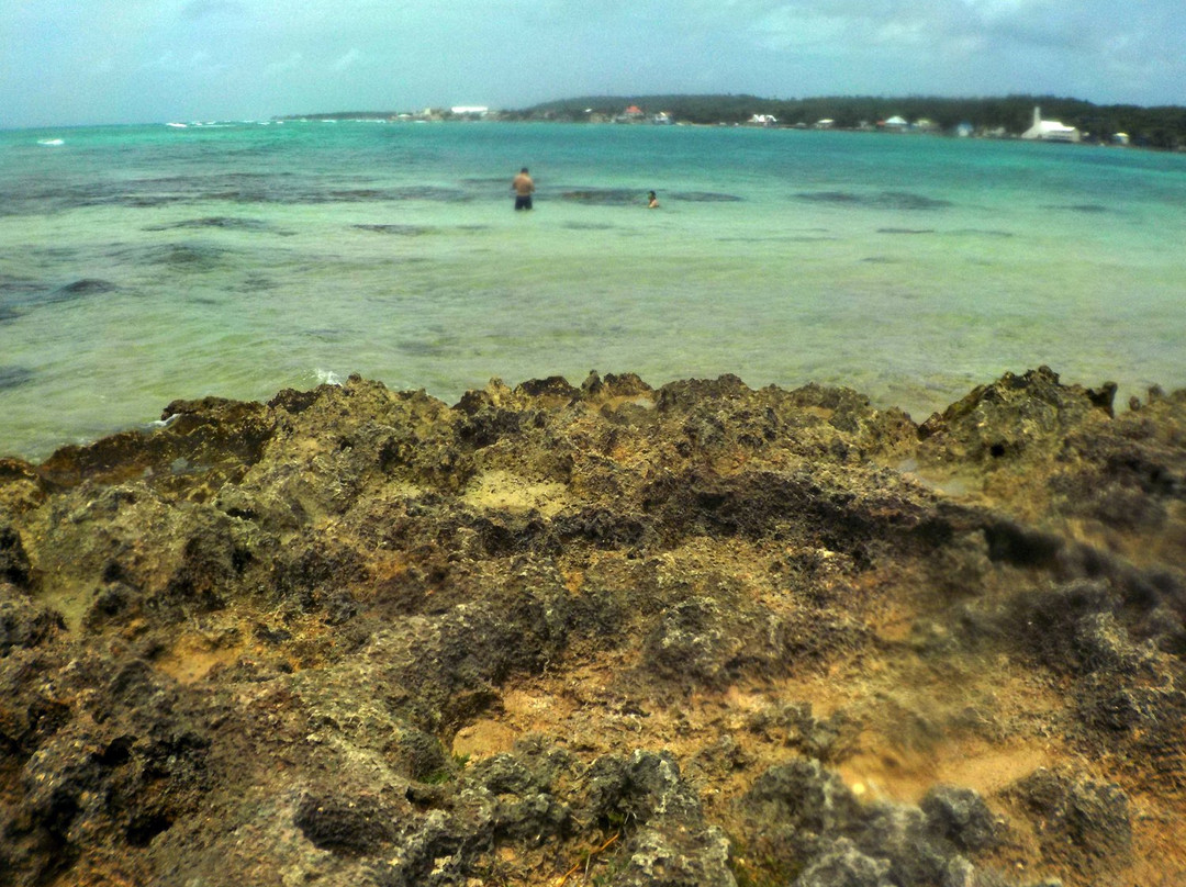 Bahía Cocoplum景点图片