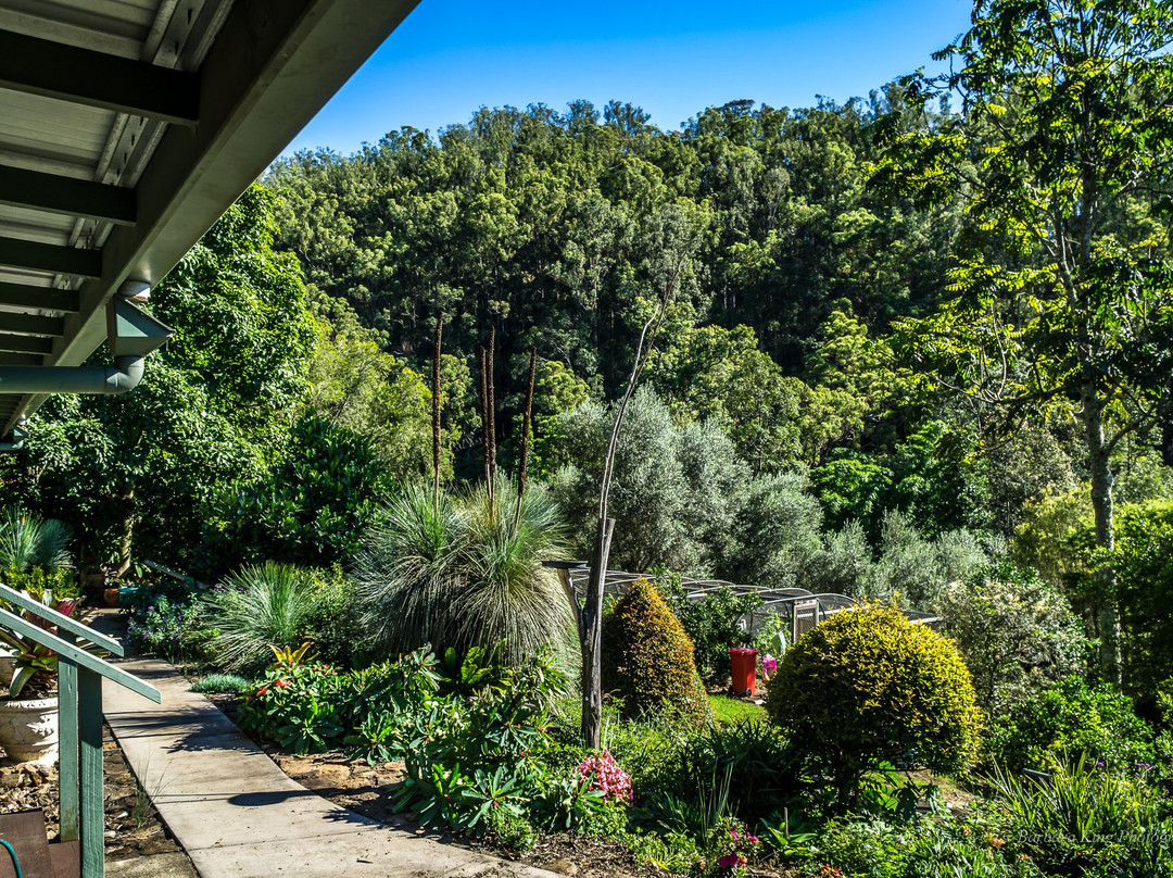 Cougal Park Bed and Breakfast主图