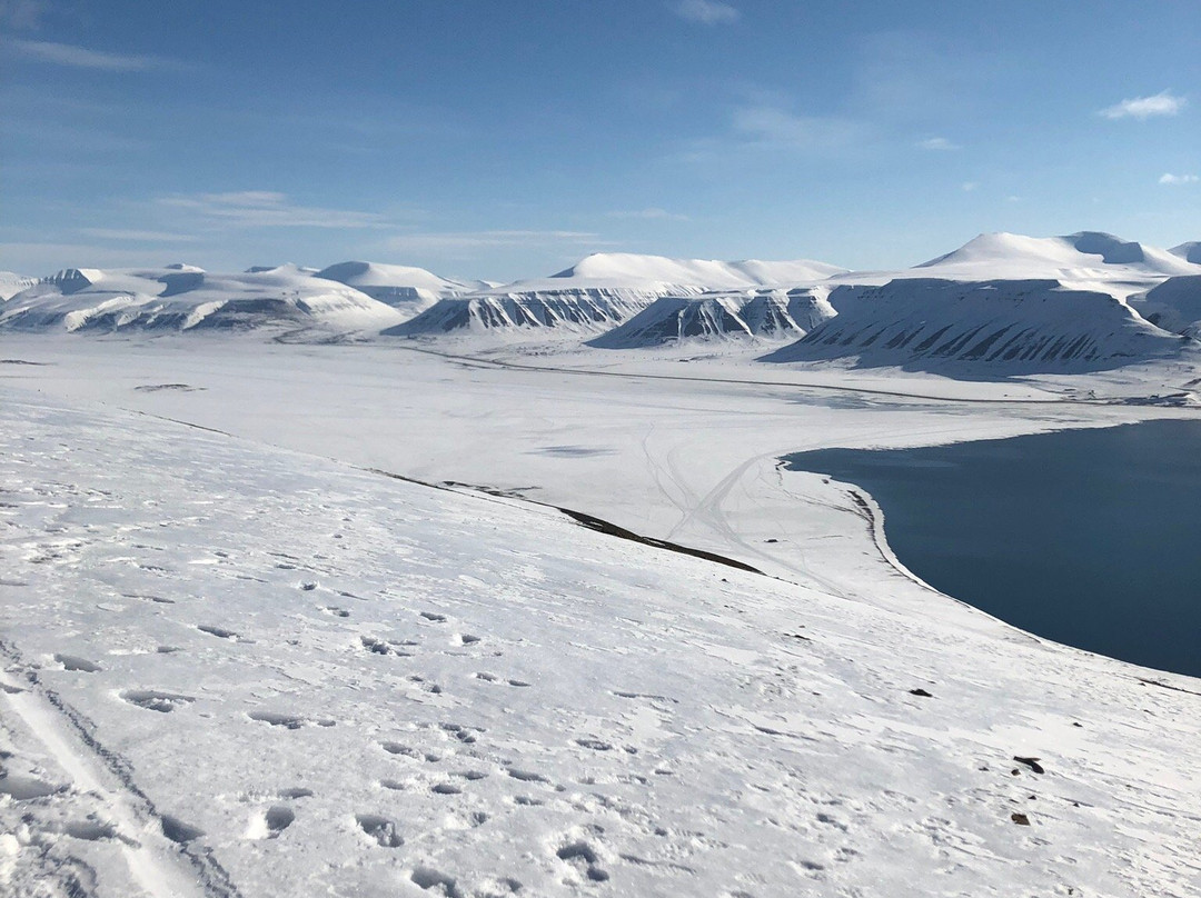 Hurtigruten Svalbard景点图片