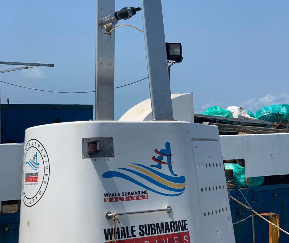 马尔代夫鲸鱼潜艇景点图片