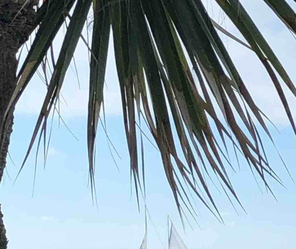 Gulfside Resorts主图