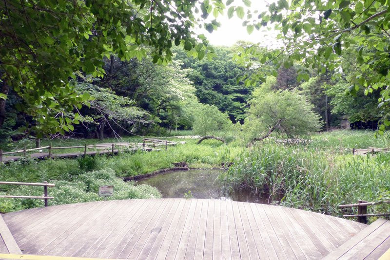 Zama Yatoyama Park-座间市必去景点