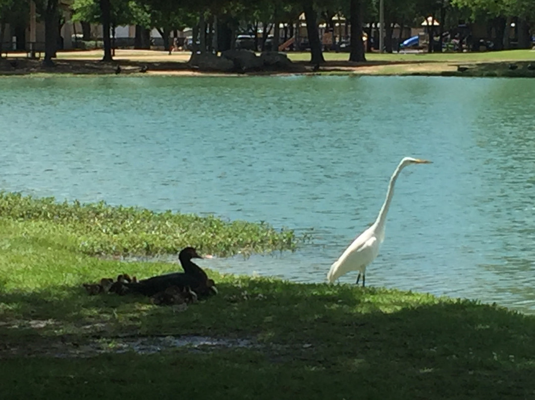 Mary Jo Peckham Park-卡蒂必去景点