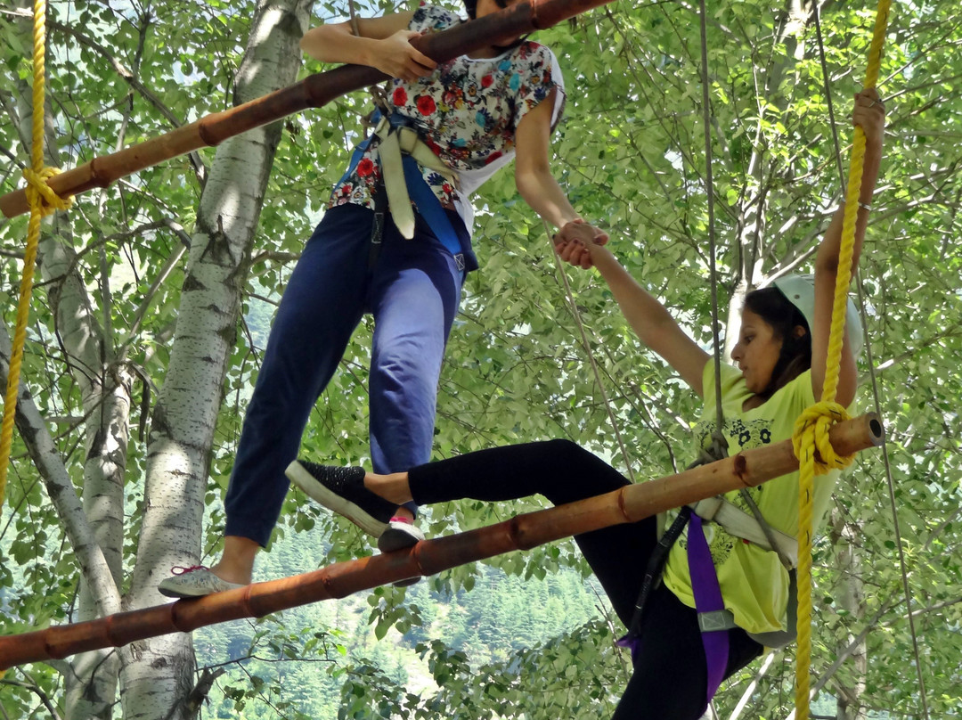 Camp Jungle Brooks-默纳利必去景点