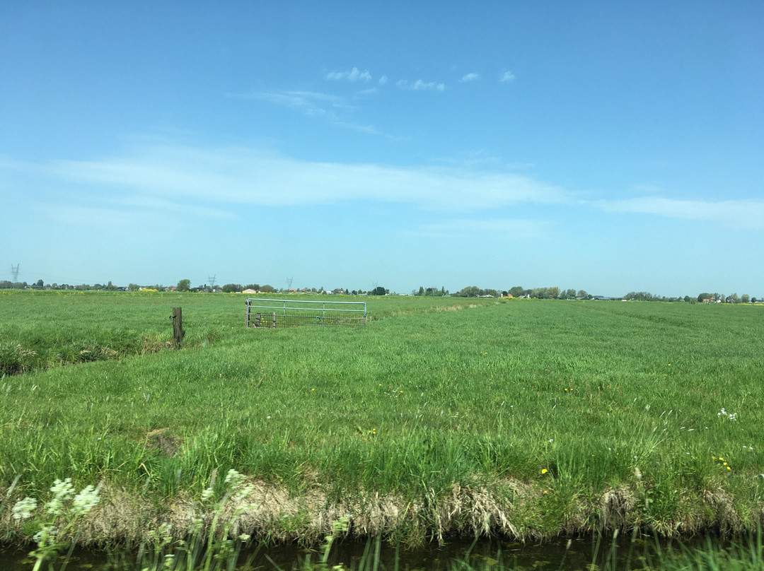 In de Oude Zagerij - I Saw主图