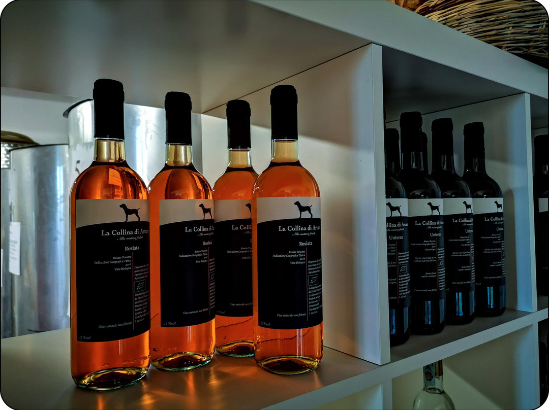 Agriturismo Villani Poderi Nesti & Cupoli主图