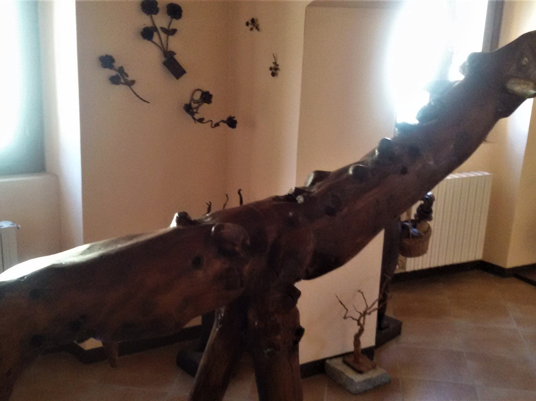 Museo dei Ceppi-San Nazzaro Sesia必去景点