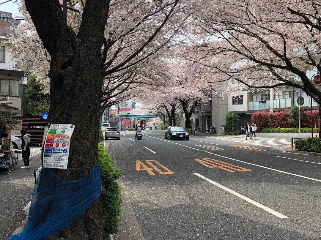 Nakano Street-中野区必去景点