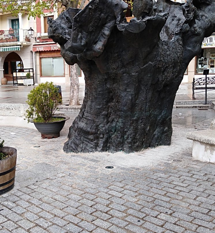 Plaza del Alamo景点图片