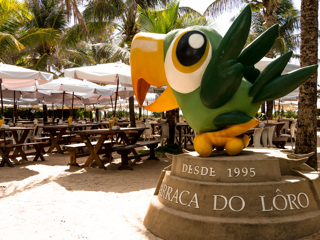 Lôro - Praia Do Flamengo
