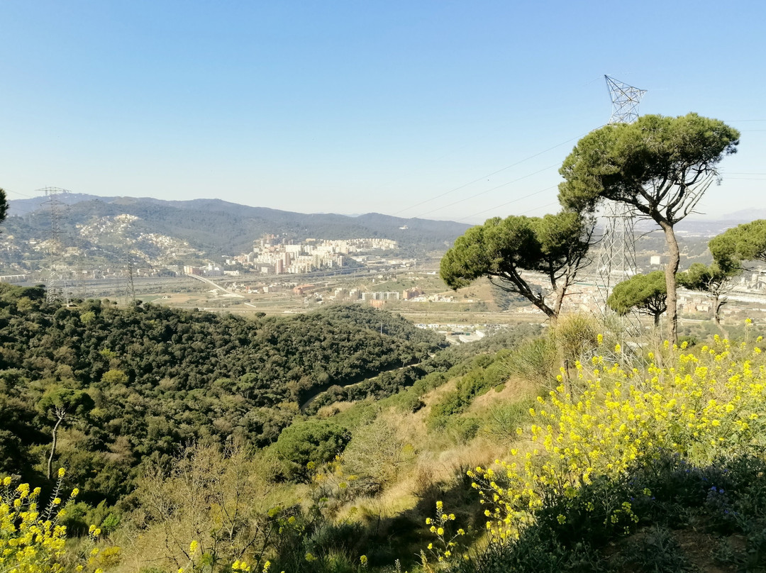 Poblat Iberic Puig Castellar景点图片