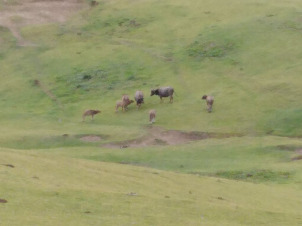 Marlboro Hills-Mahatao必去景点